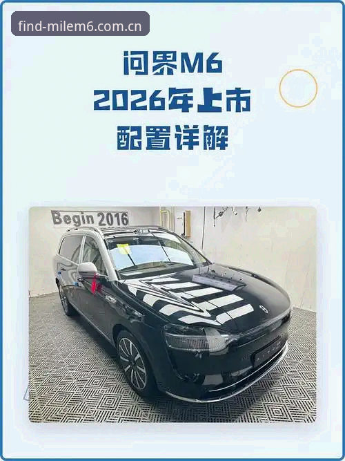 2026米乐M6深度分析：实战派用户全面解析平台实用价值与操作细节